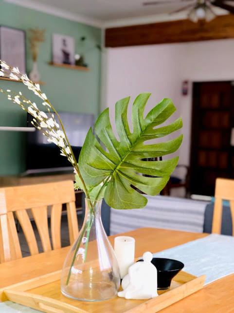 Danville Forest Guest House & Apartments 德班 外观 照片