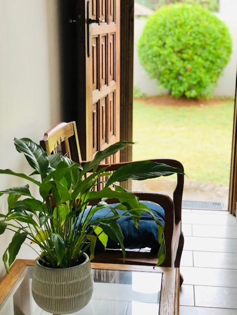 Danville Forest Guest House & Apartments 德班 外观 照片